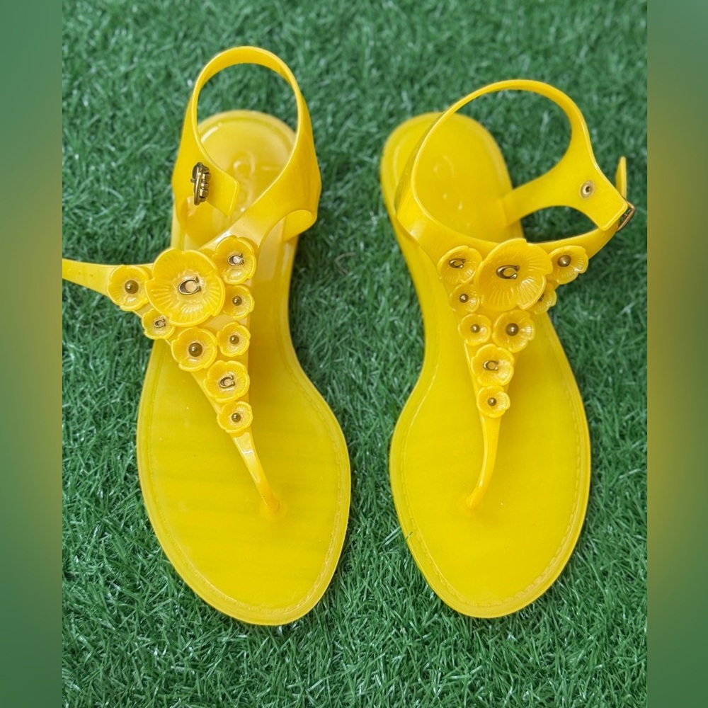 Coach Tea Rose‎ Jelly Sandals Canaro Size 7B